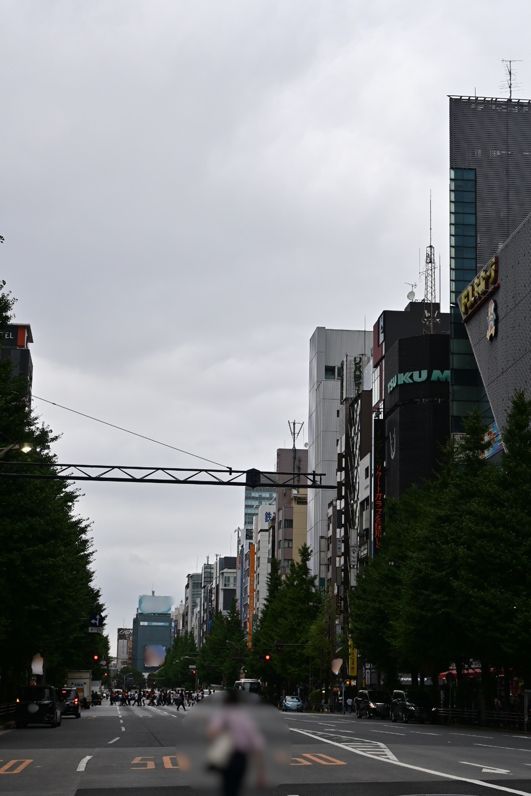 Belle Salle Akihabara, seen in the background of Steins;Gate